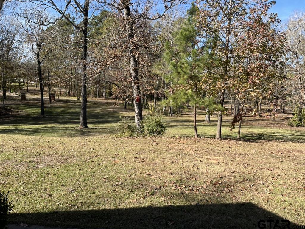 360 Anderson County Road Palestine, TX 75803 - Photo 28 of 44