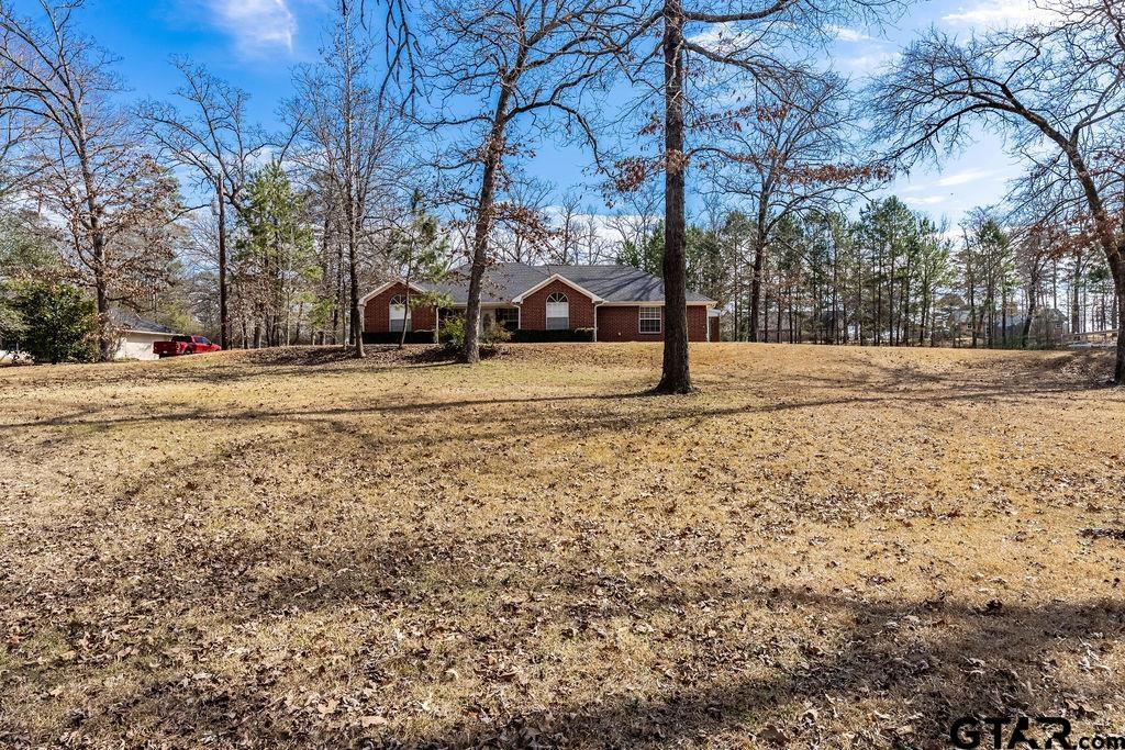 360 Anderson County Road Palestine, TX 75803 - Photo 29 of 41 a view of a yard with a large tree