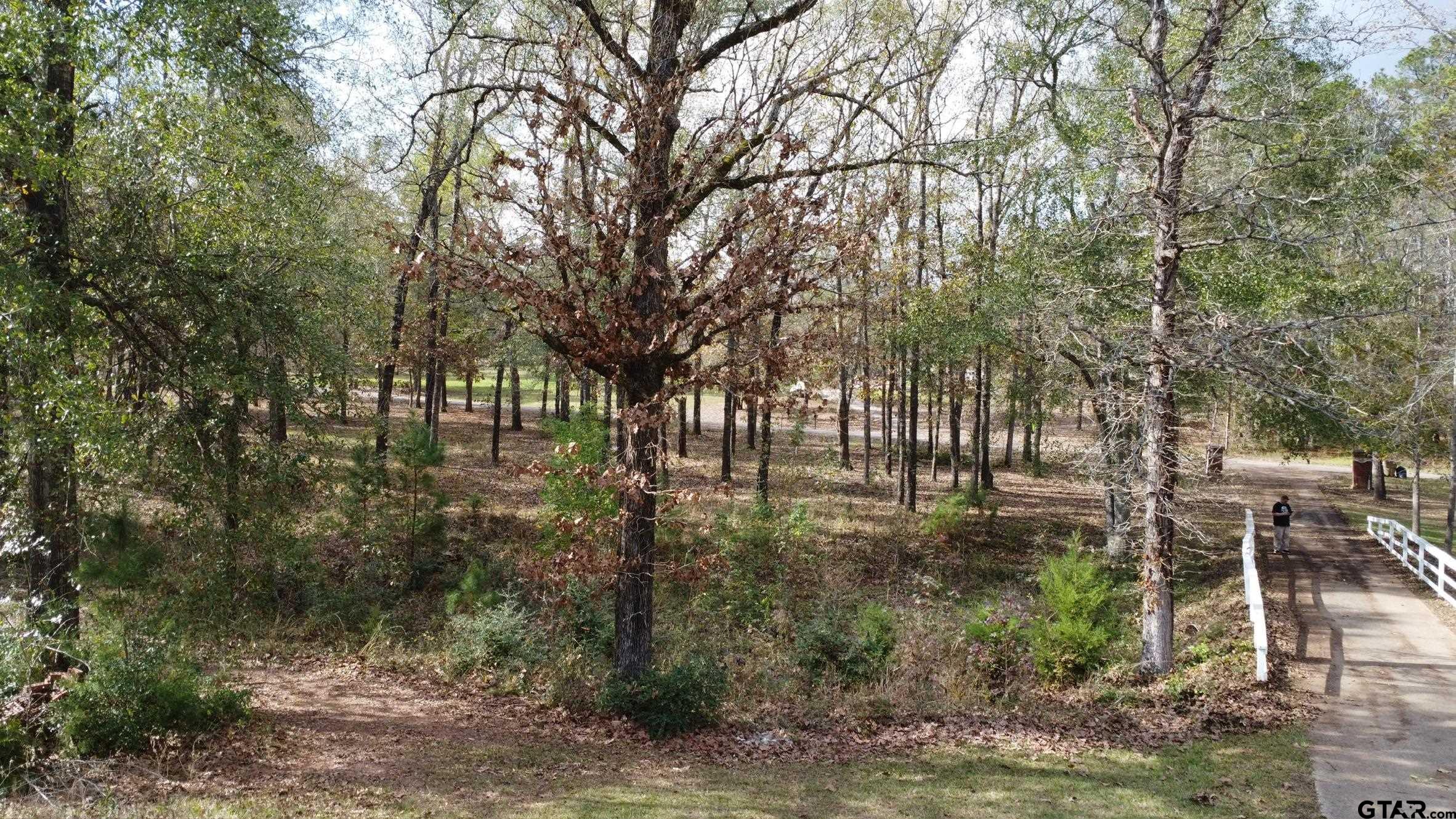 360 Anderson County Road Palestine, TX 75803 - Photo 31 of 44