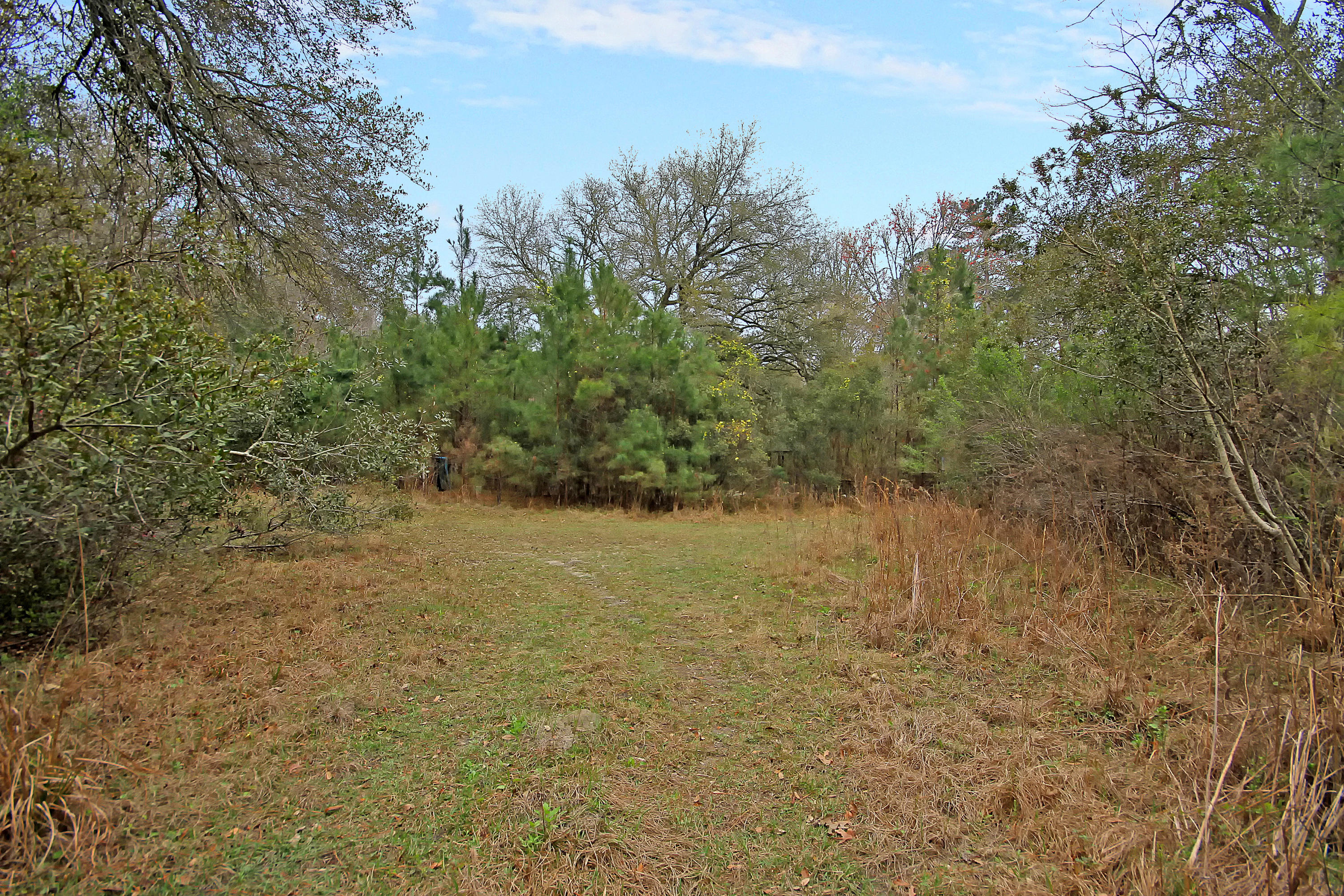 5558 Chisolm Road Johns Island, SC 29455 - Photo 3 of 8 IMG_6488 copy