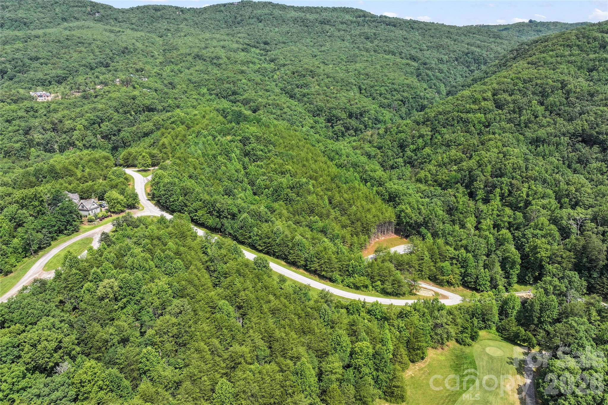 1361 Deep Gap Farm Road East Mill Spring, NC 28756 - Photo 12 of 23
