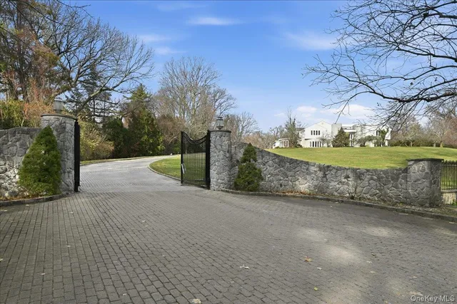 a view of a park with large trees