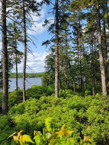 $220,000 | Lot 2 Horseshoe Lake, Cherryfield, ME 04622