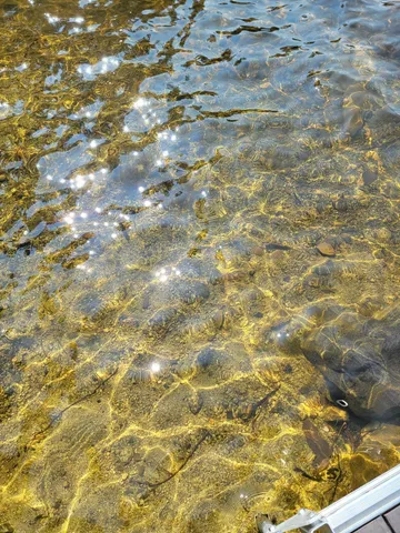 $220,000 | Lot 2 Horseshoe Lake, Cherryfield, ME 04622