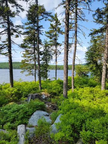 $220,000 | Lot 2 Horseshoe Lake, Cherryfield, ME 04622