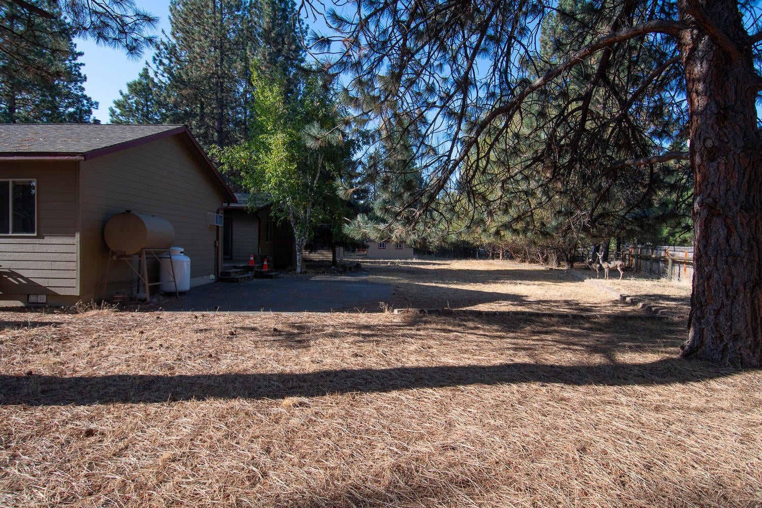 60195 Navajo Road Bend, OR 97702 - Photo 24 of 27 HUGE backyyard