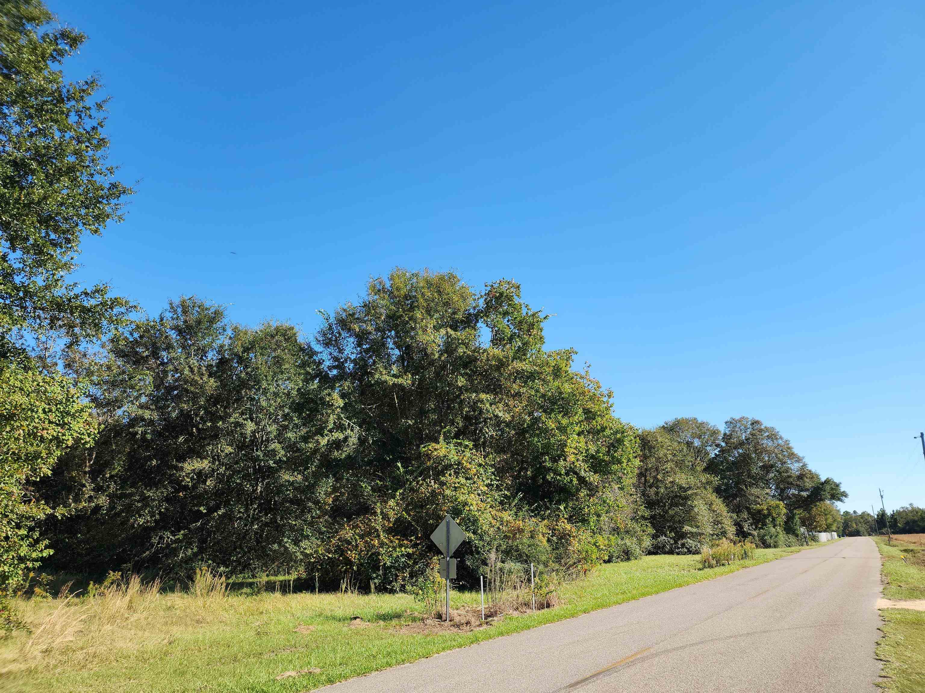 0 Cowpen Creek Road Atmore, AL 36502 - Photo 1 of 21