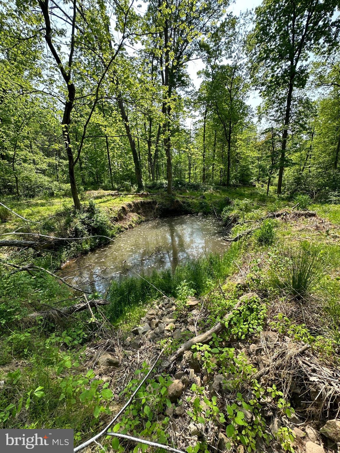 204 Kreider Road Palmyra, PA 17078 - Photo 12 of 29 Gallery Image 12