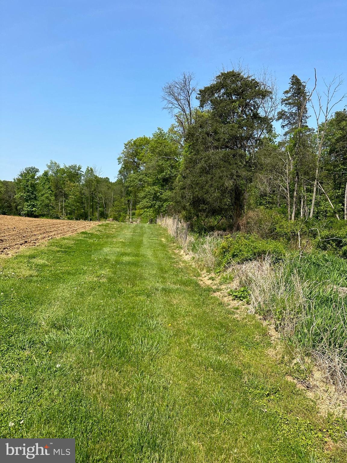 204 Kreider Road Palmyra, PA 17078 - Photo 18 of 29 Back Property line of #204