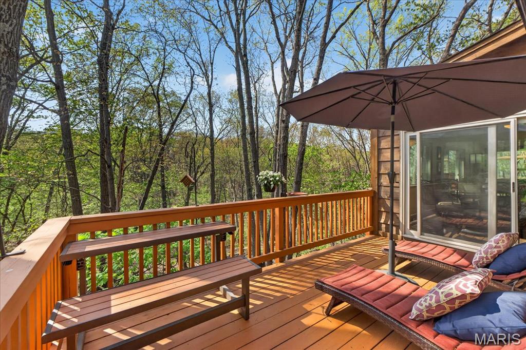 1517 Lingonberry Court High Ridge, MO 63049 - Photo 15 of 45