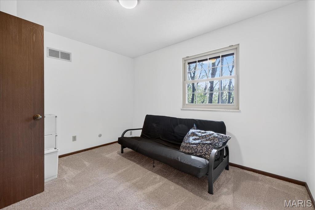 1517 Lingonberry Court High Ridge, MO 63049 - Photo 26 of 45