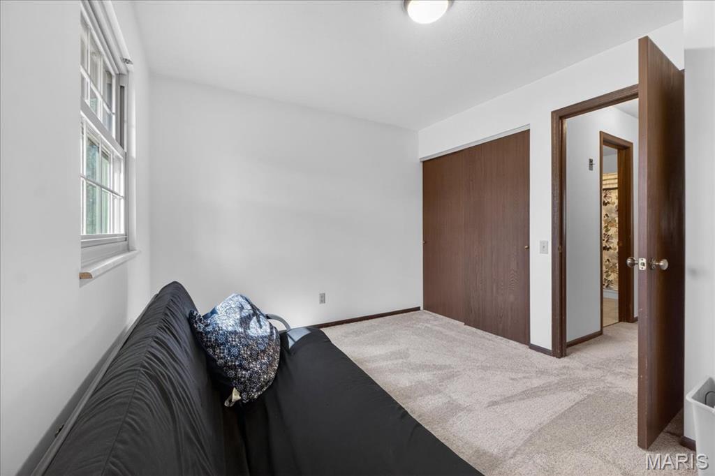 1517 Lingonberry Court High Ridge, MO 63049 - Photo 27 of 45