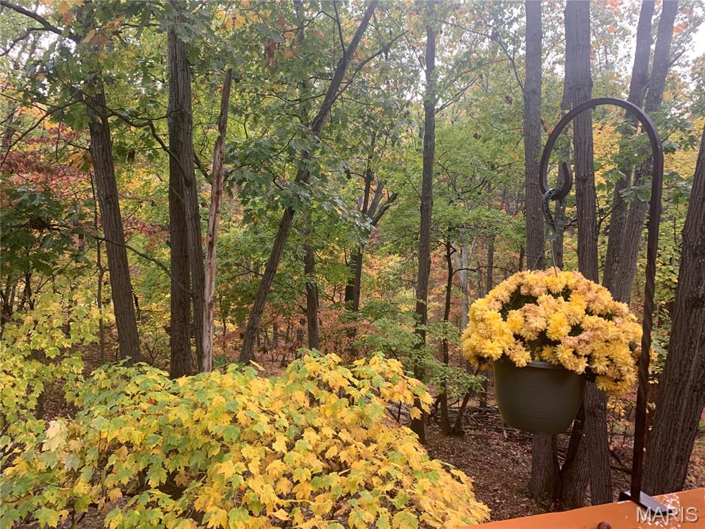 1517 Lingonberry Court High Ridge, MO 63049 - Photo 42 of 45