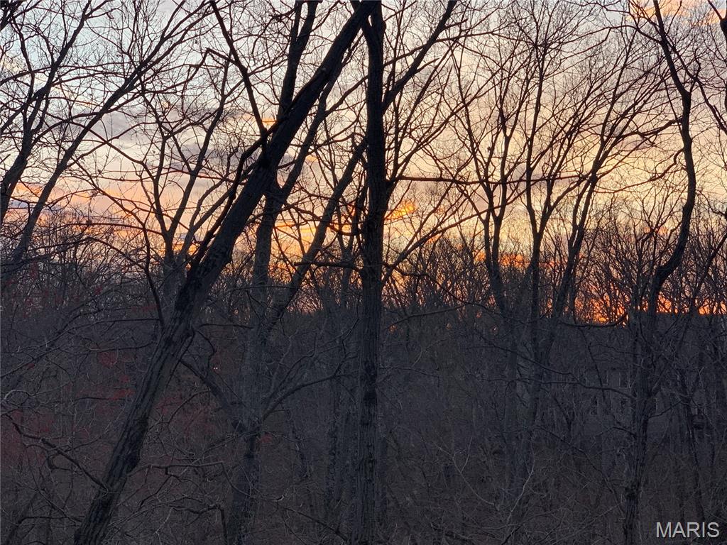 1517 Lingonberry Court High Ridge, MO 63049 - Photo 43 of 45