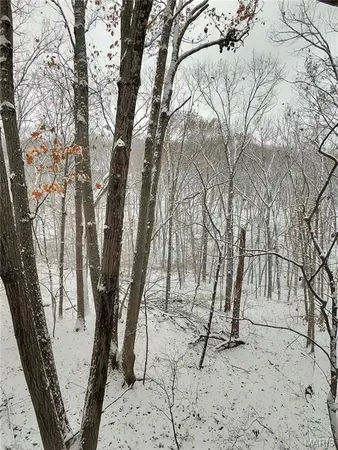 $465,000 | 1517 Lingonberry Court, High Ridge, MO 63049