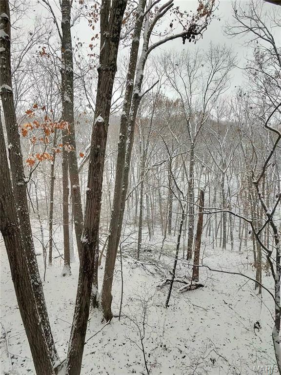 1517 Lingonberry Court High Ridge, MO 63049 - Photo 44 of 45