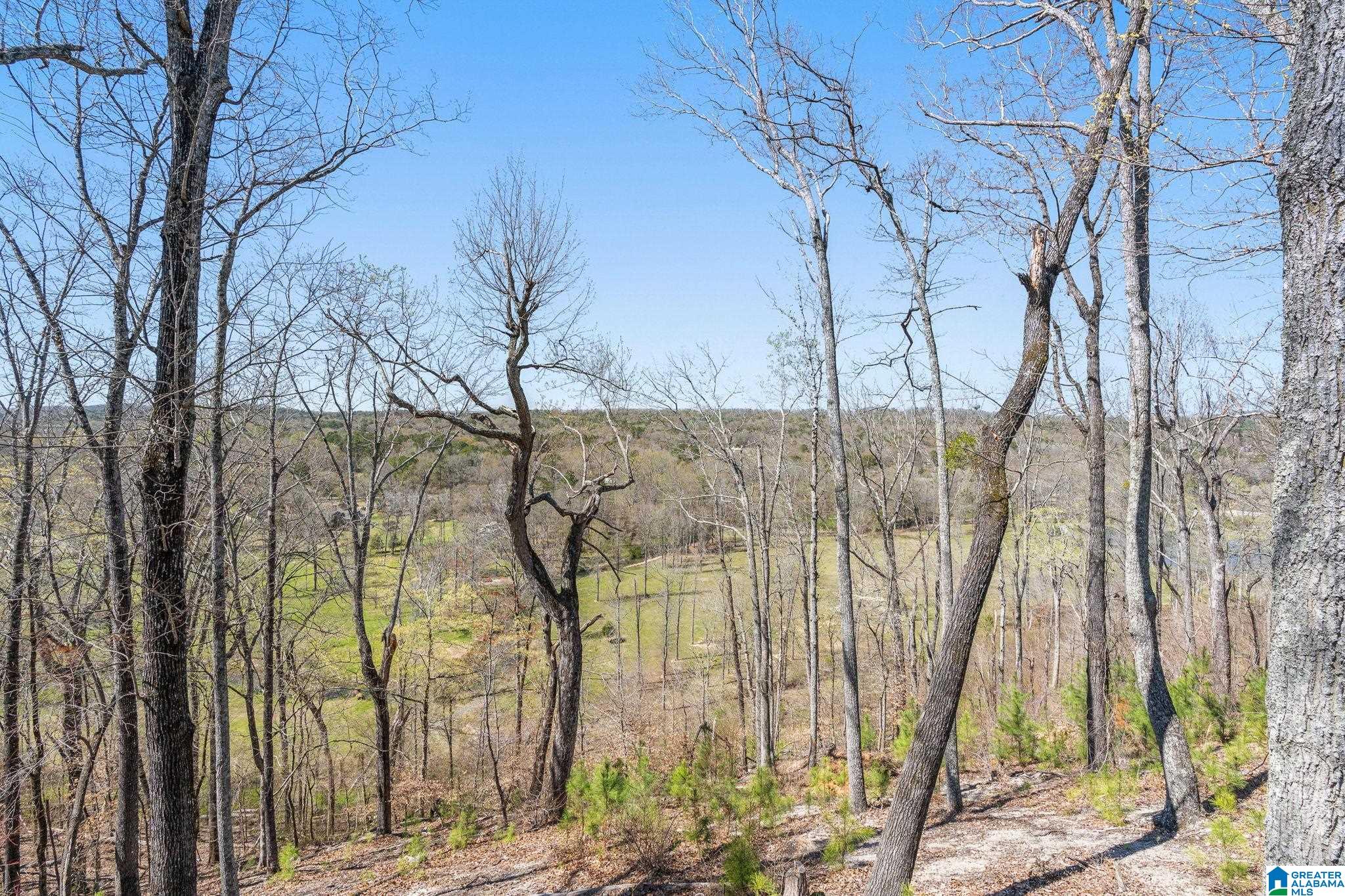 1045 Stagg Run Trail Pelham, AL 35124 - Photo 45 of 68