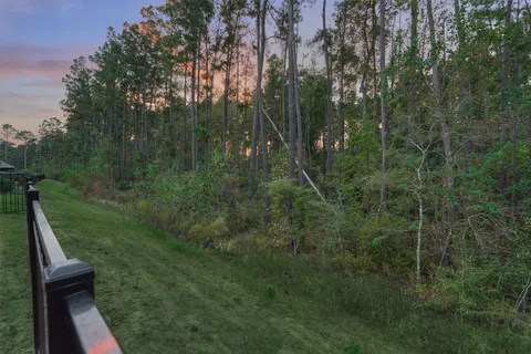 a view of a lush green forest