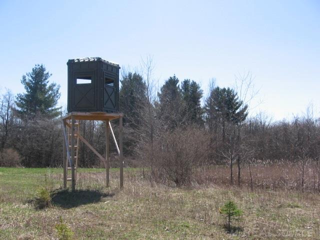 Vl Townsend Applegate, MI 48401 - Photo 8 of 31