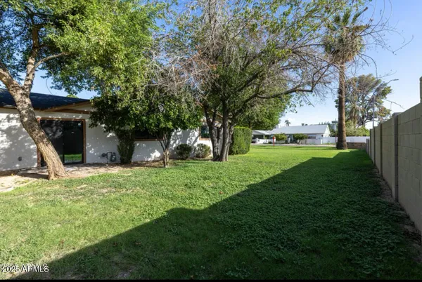 a view of a house with backyard and a tree