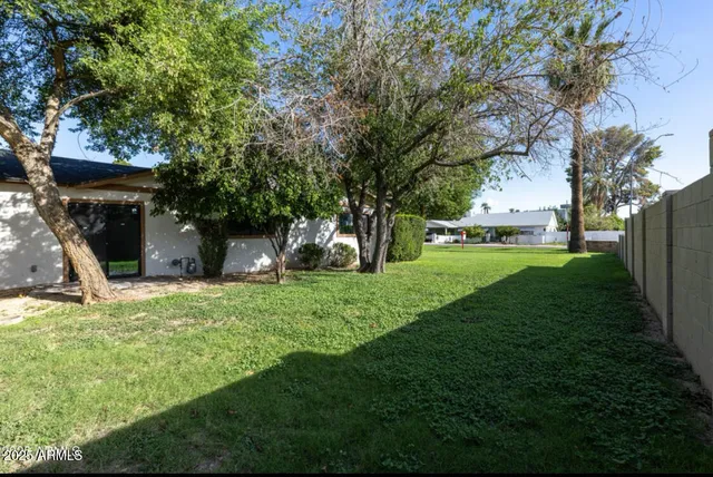 a view of a house with backyard and a tree