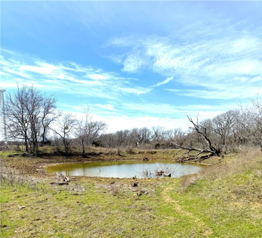 8932 FM 339 Road Mount Calm, TX 76673 - Photo 22 of 29