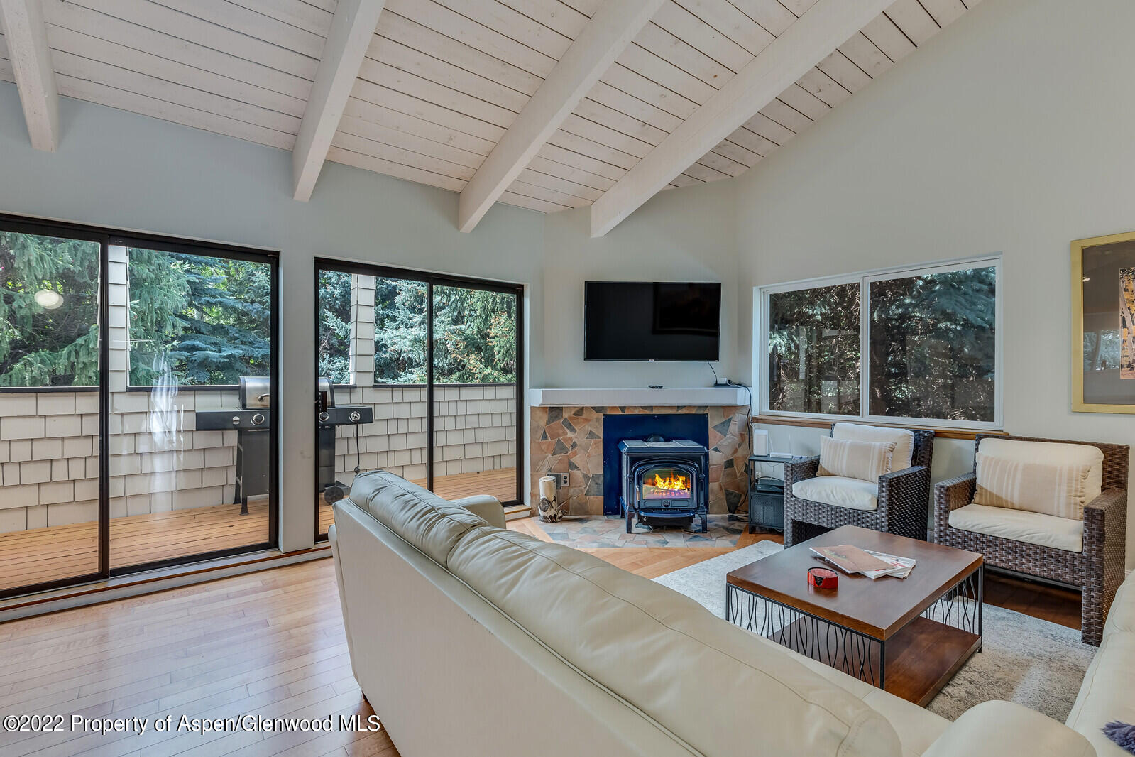 a living room with furniture a flat screen tv and a fireplace