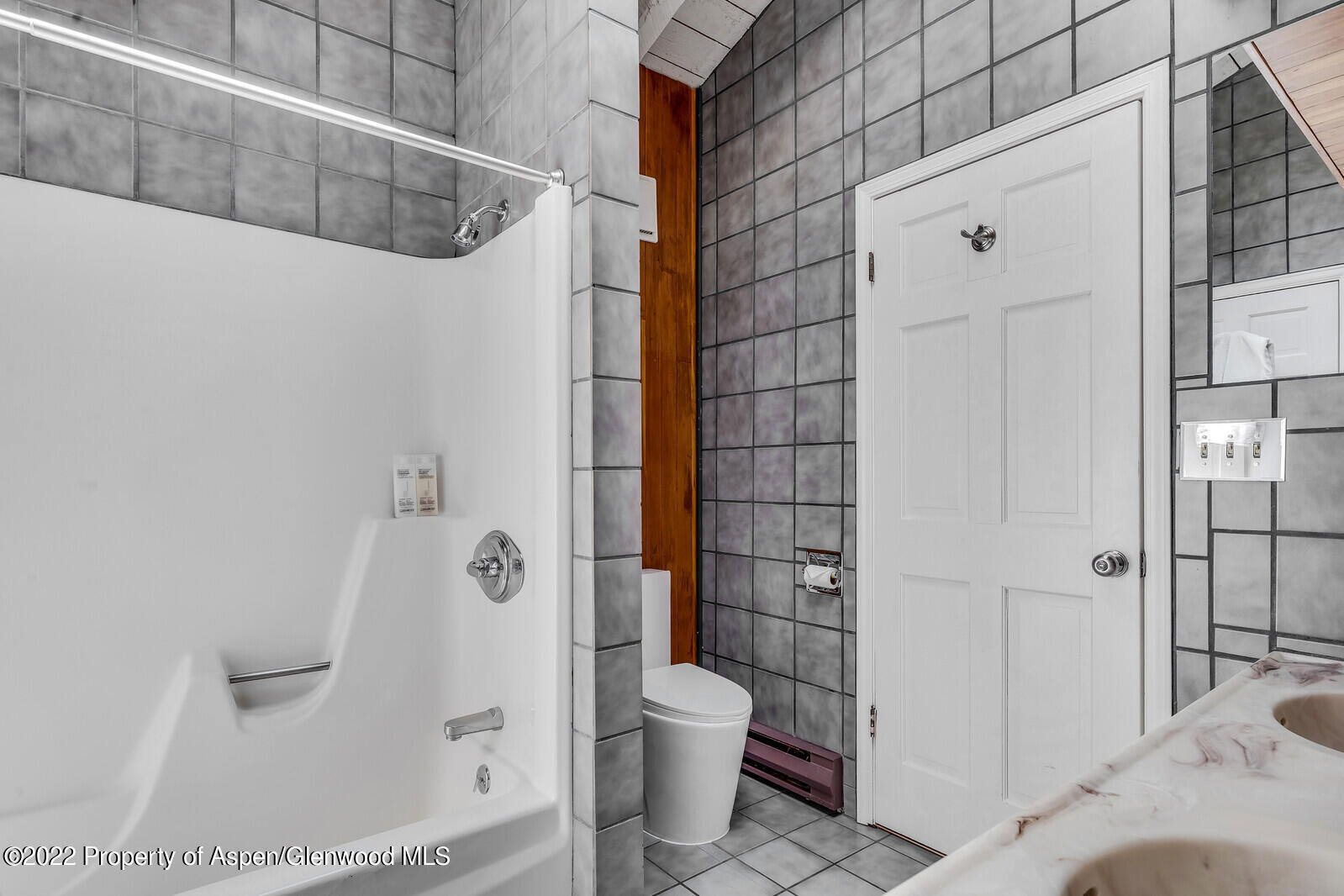 36 Nathan Lane Basalt, CO 81621 - Photo 19 of 37 a bathroom with a toilet and shower