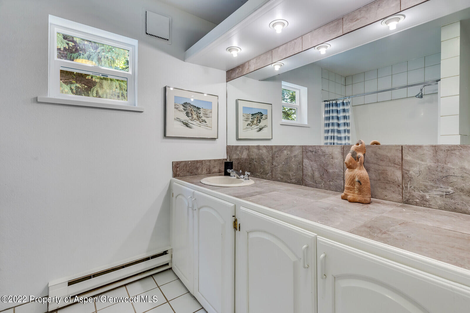 36 Nathan Lane Basalt, CO 81621 - Photo 26 of 37 walk in closet with window