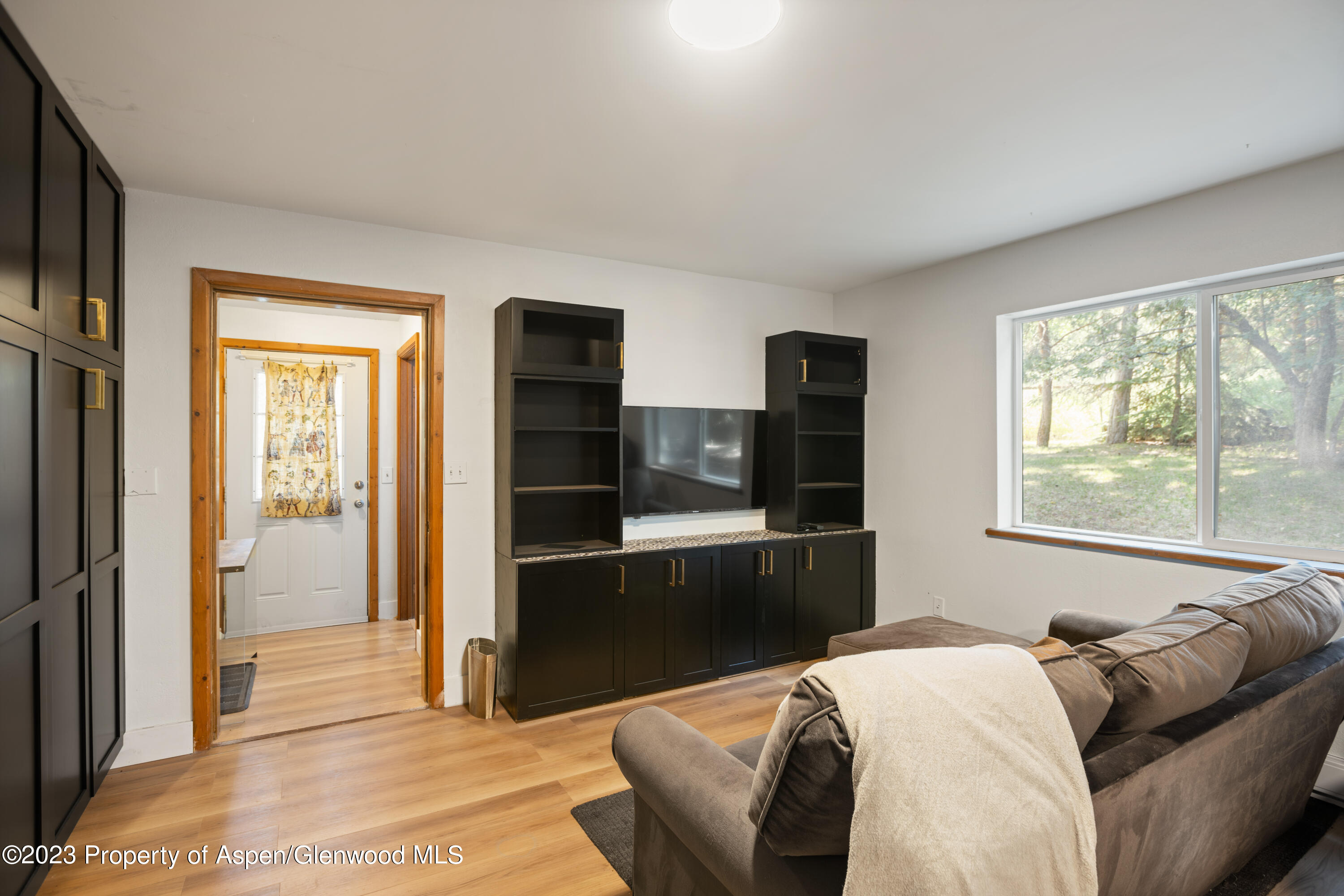 36 Nathan Lane Basalt, CO 81621 - Photo 29 of 37 a living room with furniture and a window