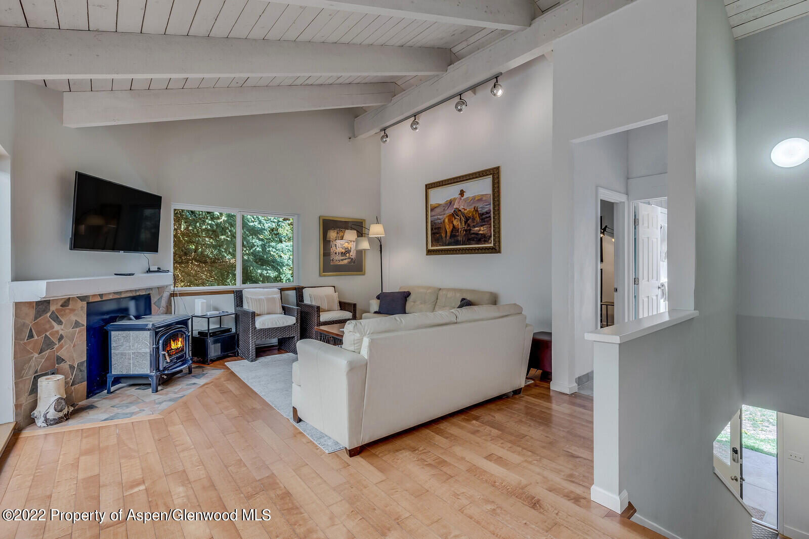 36 Nathan Lane Basalt, CO 81621 - Photo 4 of 37 a living room with furniture and a flat screen tv