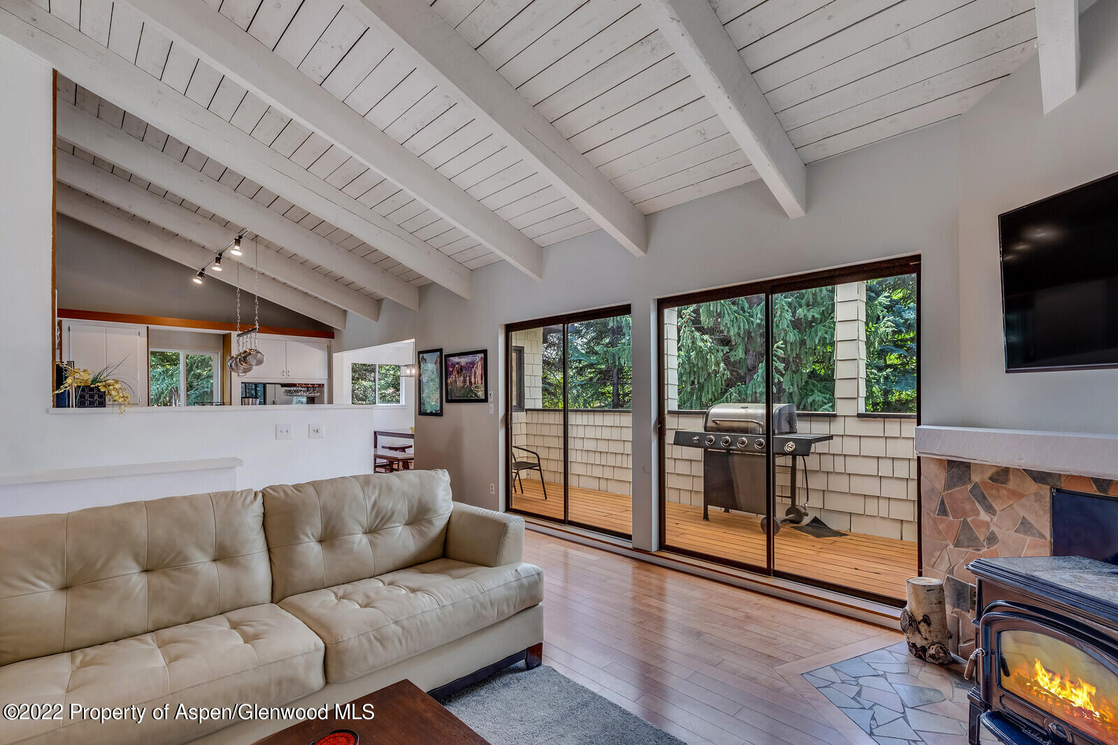 36 Nathan Lane Basalt, CO 81621 - Photo 5 of 37 a living room with furniture and a flat screen tv