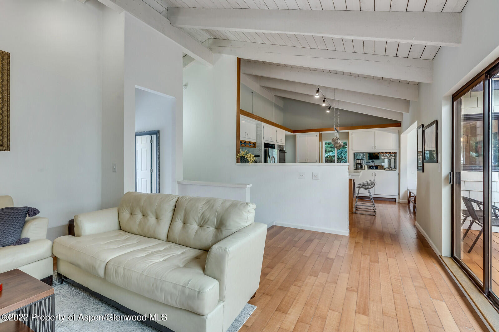 36 Nathan Lane Basalt, CO 81621 - Photo 6 of 37 a living room with furniture and a wooden floor