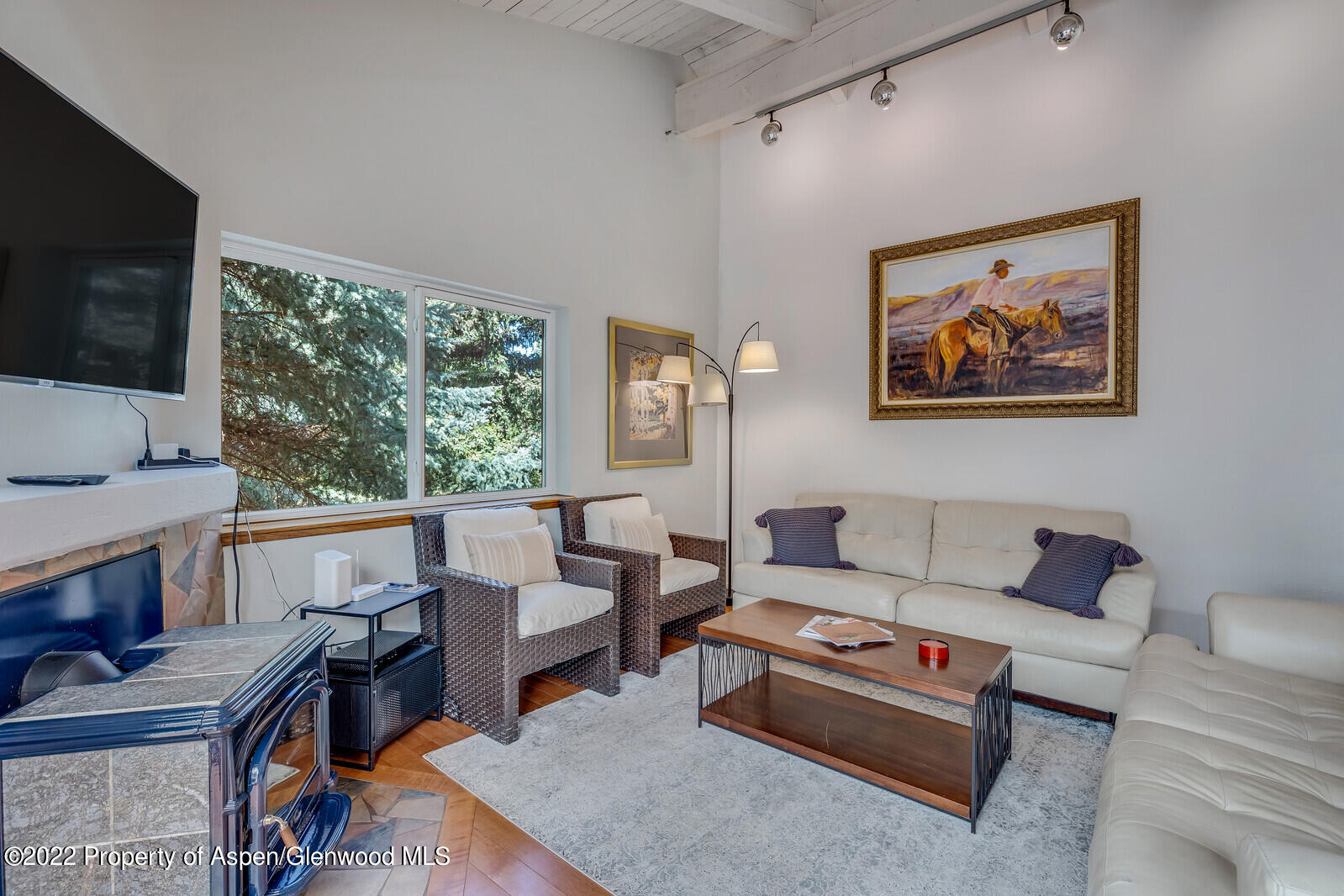 36 Nathan Lane Basalt, CO 81621 - Photo 7 of 37 a living room with furniture a flat screen tv and a fireplace