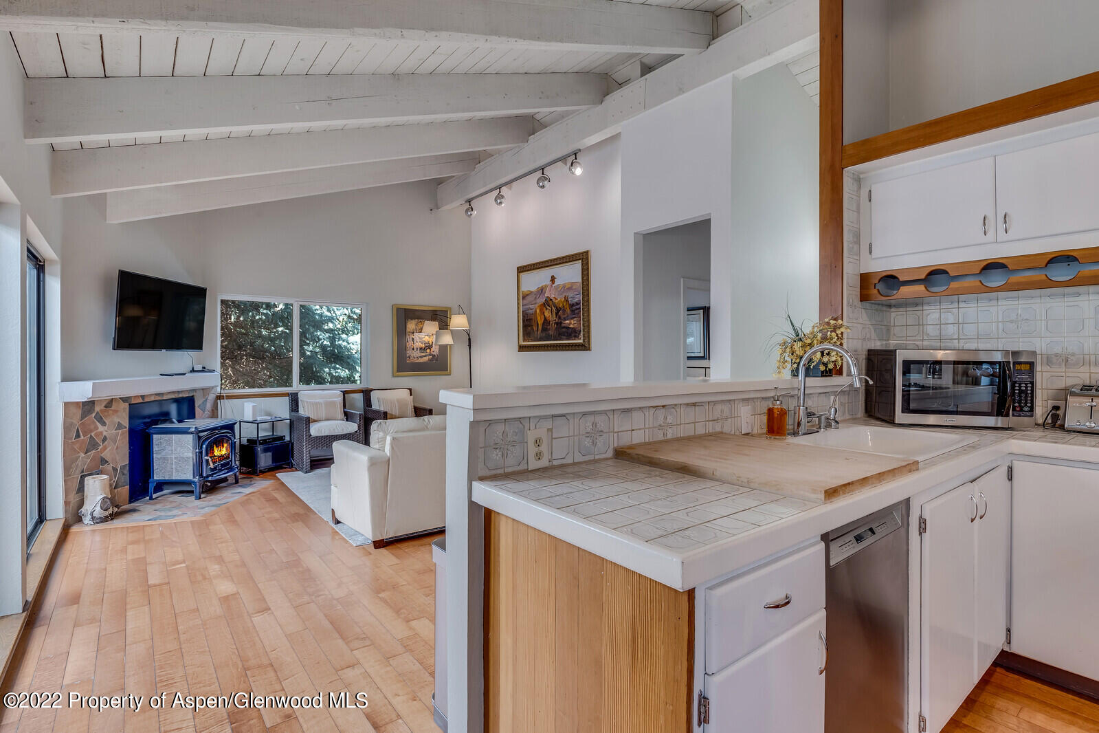 36 Nathan Lane Basalt, CO 81621 - Photo 8 of 37 a view of living room and kitchen with furniture