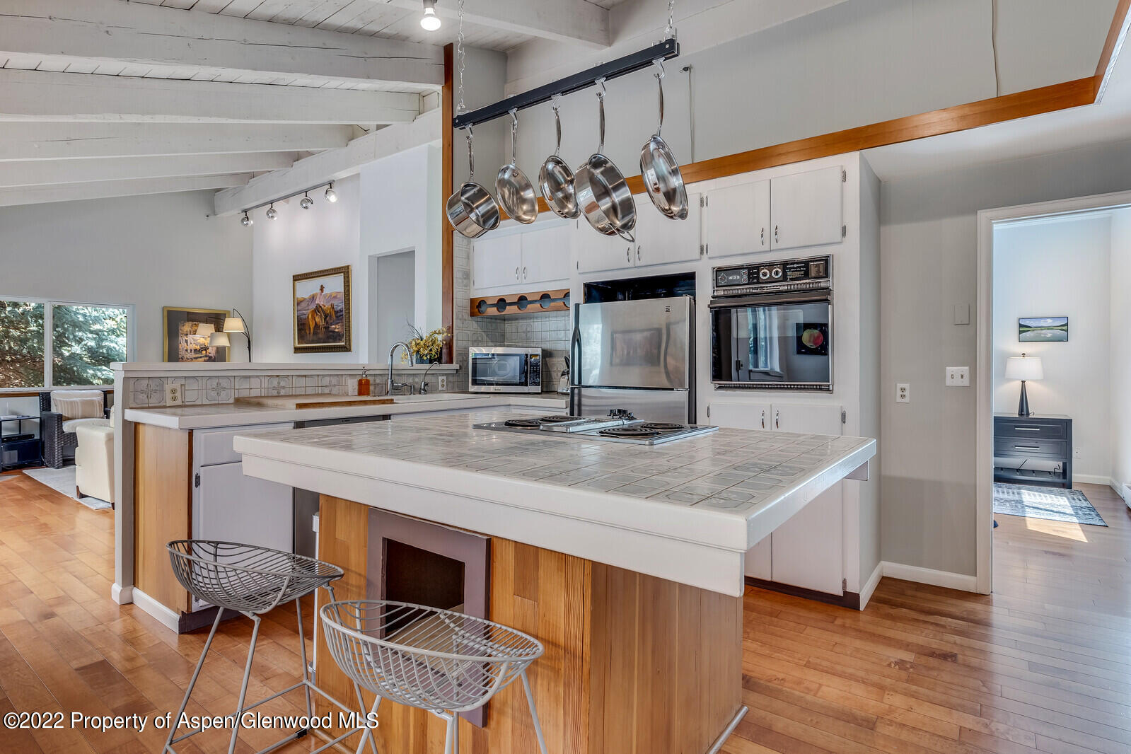 36 Nathan Lane Basalt, CO 81621 - Photo 10 of 37 a view of kitchen island with stainless steel appliances kitchen island granite countertop a sink and cabinets