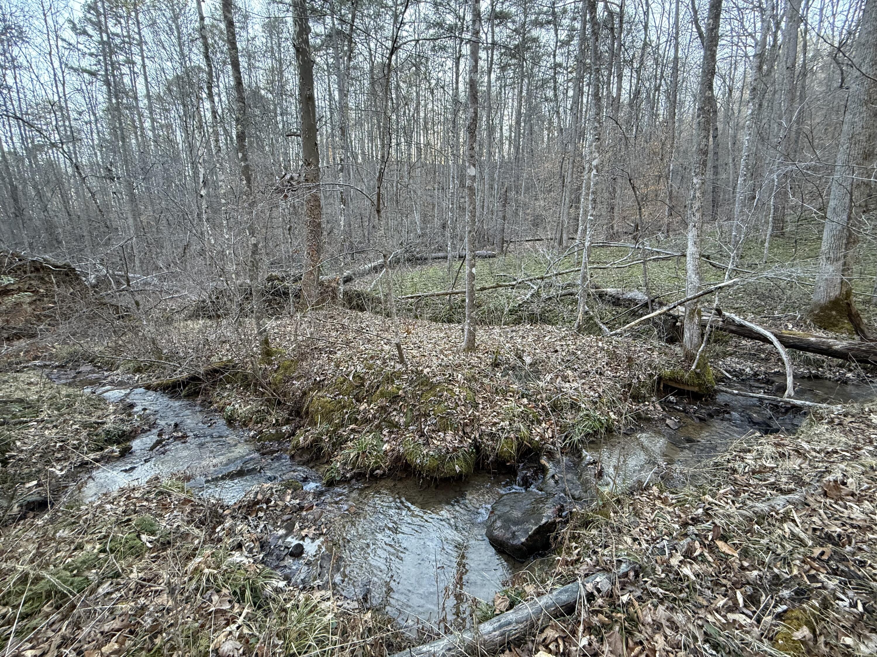 9991 Red Hill Road Livingston, KY 40445 - Photo 28 of 48 IMG_8549