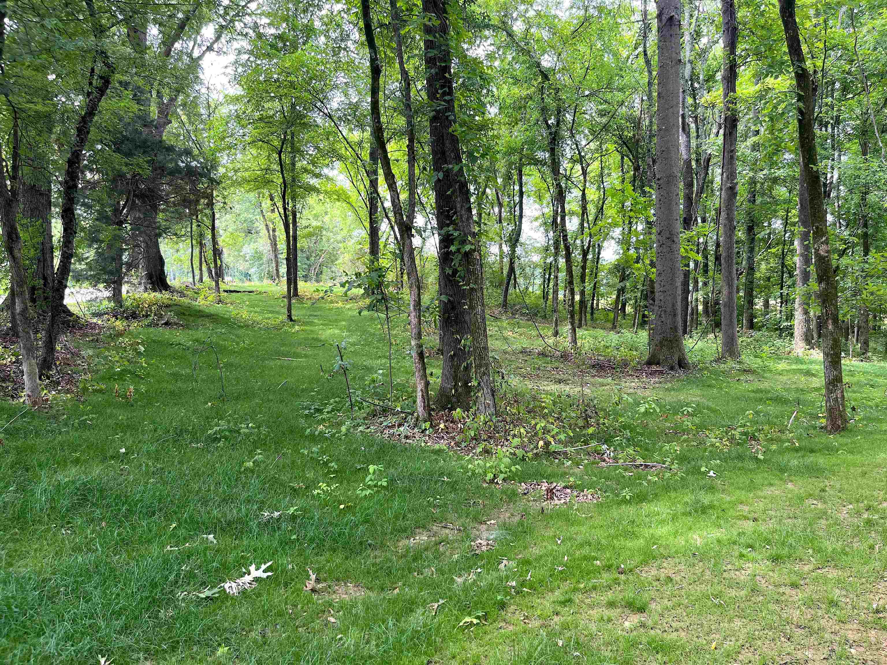 6225 Ricks Road Arlington, TN 38002 - Photo 5 of 13