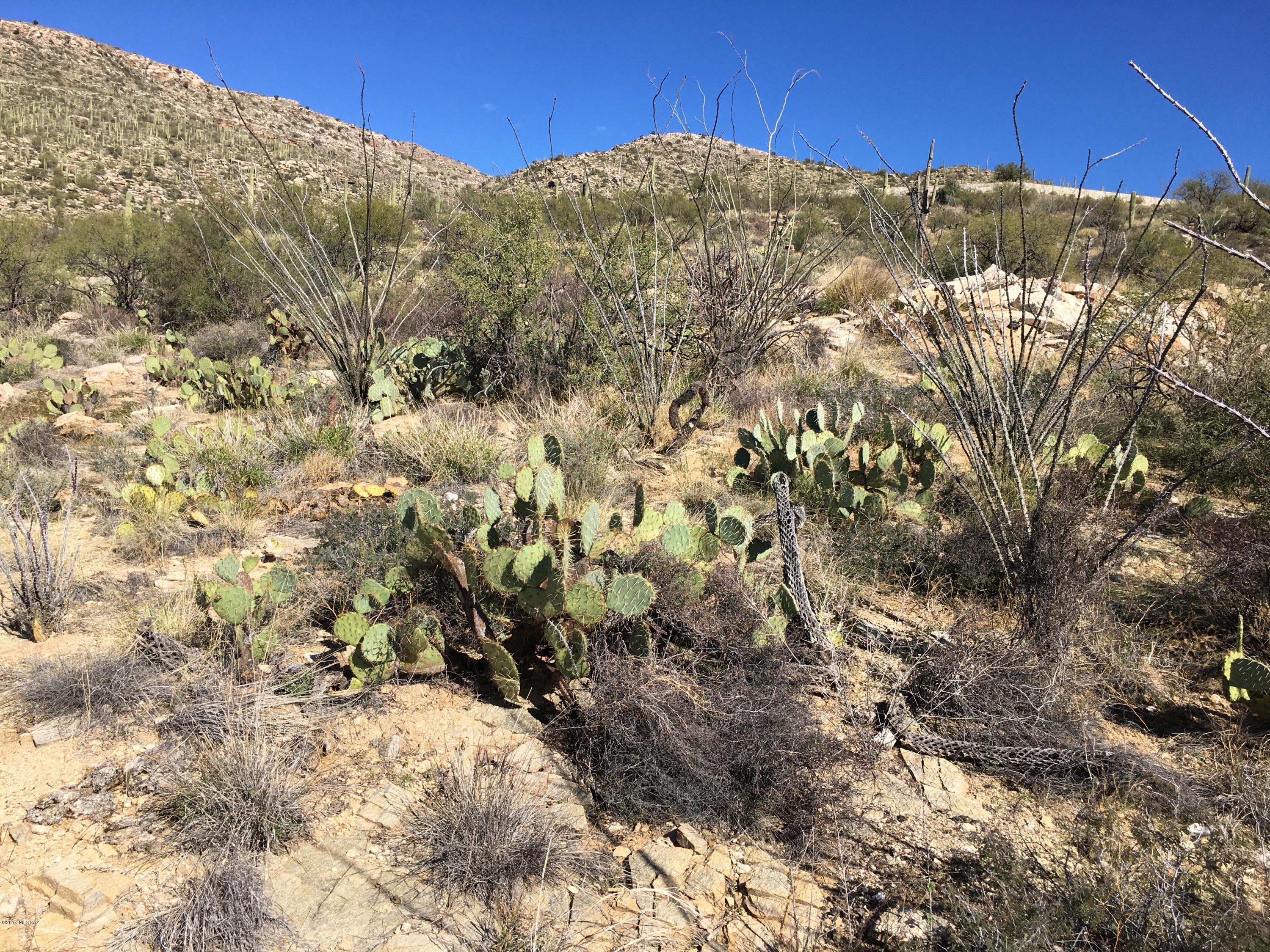 5483 North Wentworth Road Tucson, AZ 85749 - Photo 10 of 14