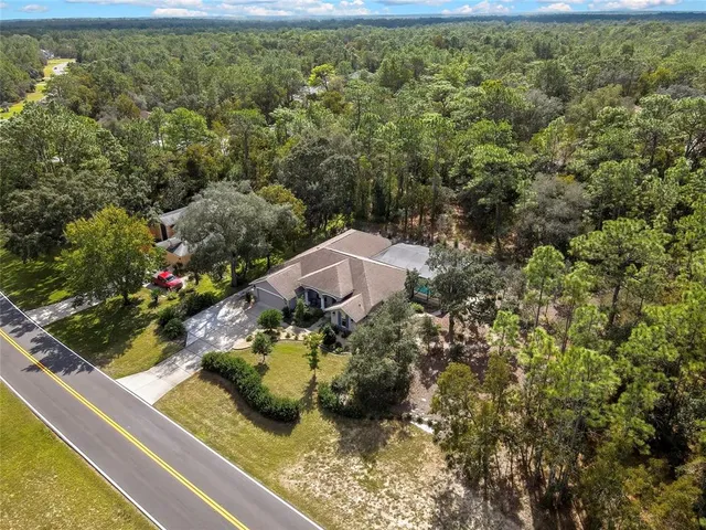 a view of a yard with plants and large trees