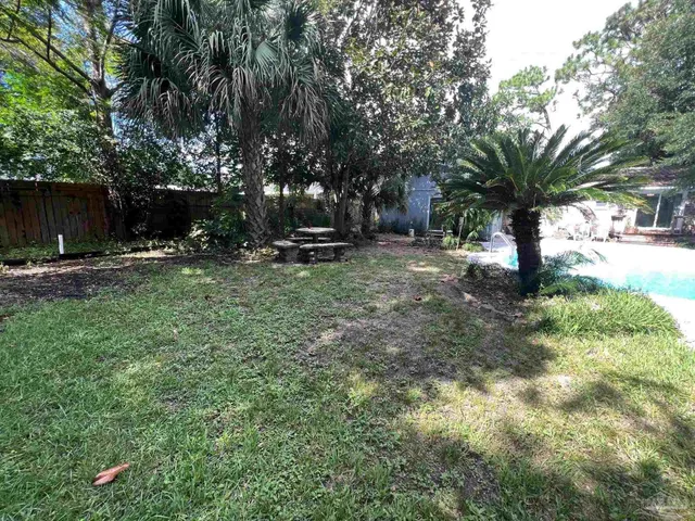 a view of a tree in the middle of a yard