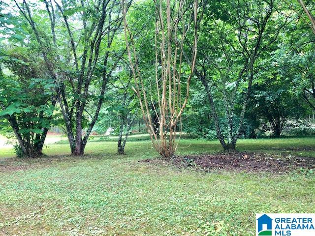 724 Kimberly Road Piedmont, AL 36272 - Photo 24 of 31