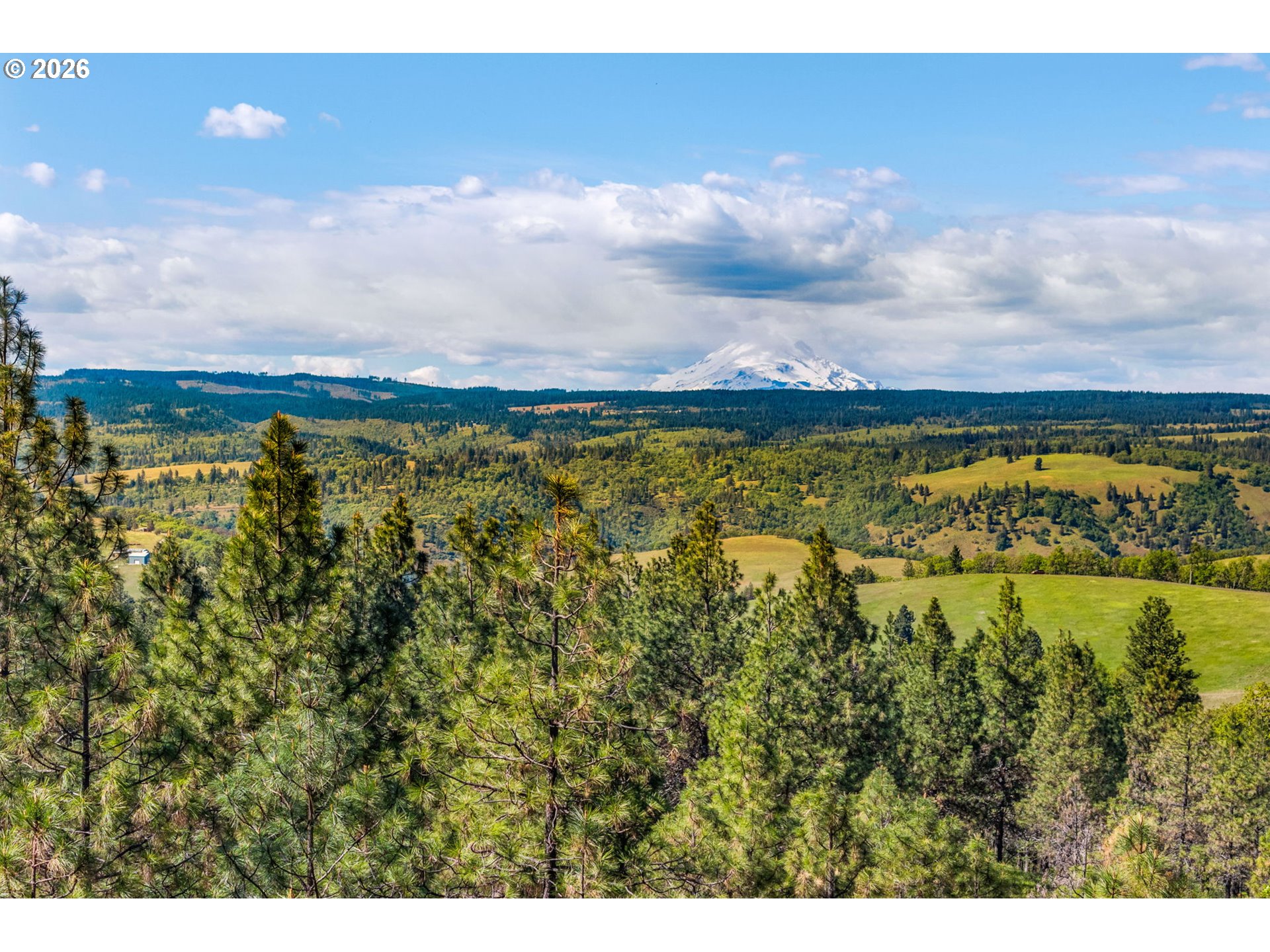 370 Rowland Road Lyle, WA 98635 - Photo 11 of 26