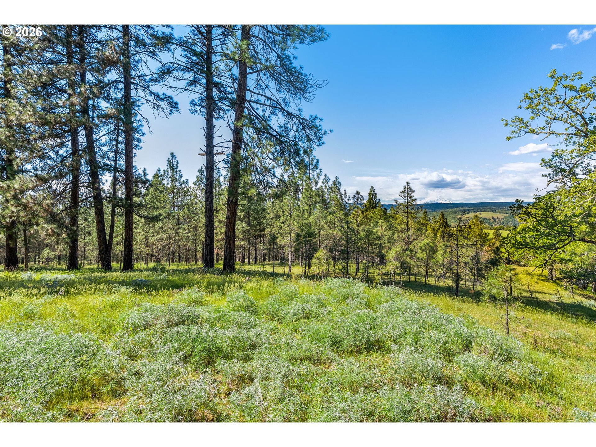 370 Rowland Road Lyle, WA 98635 - Photo 15 of 26