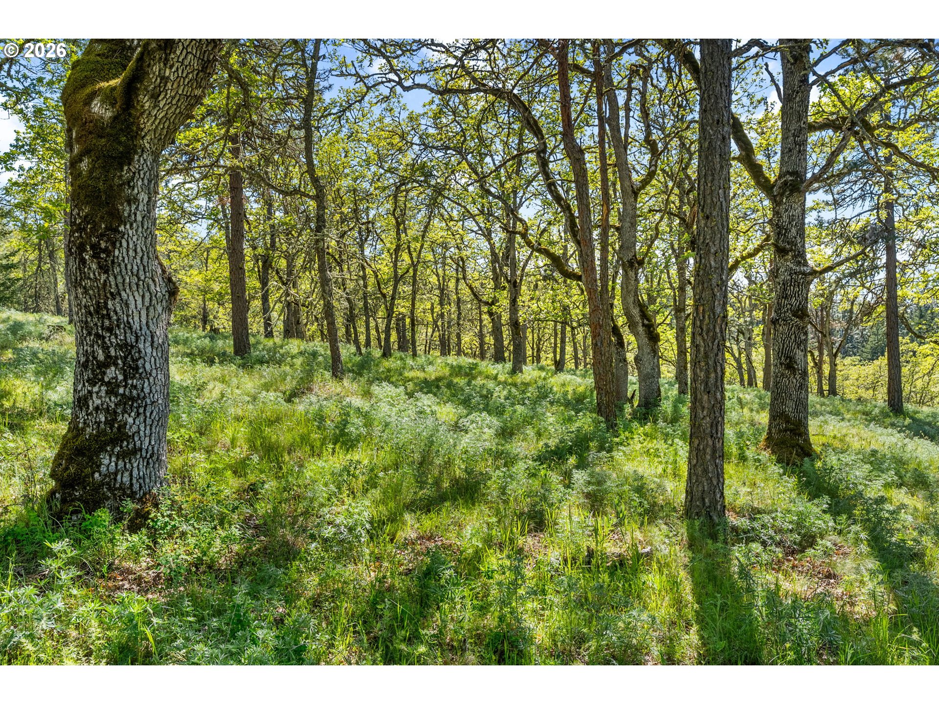 370 Rowland Road Lyle, WA 98635 - Photo 17 of 26
