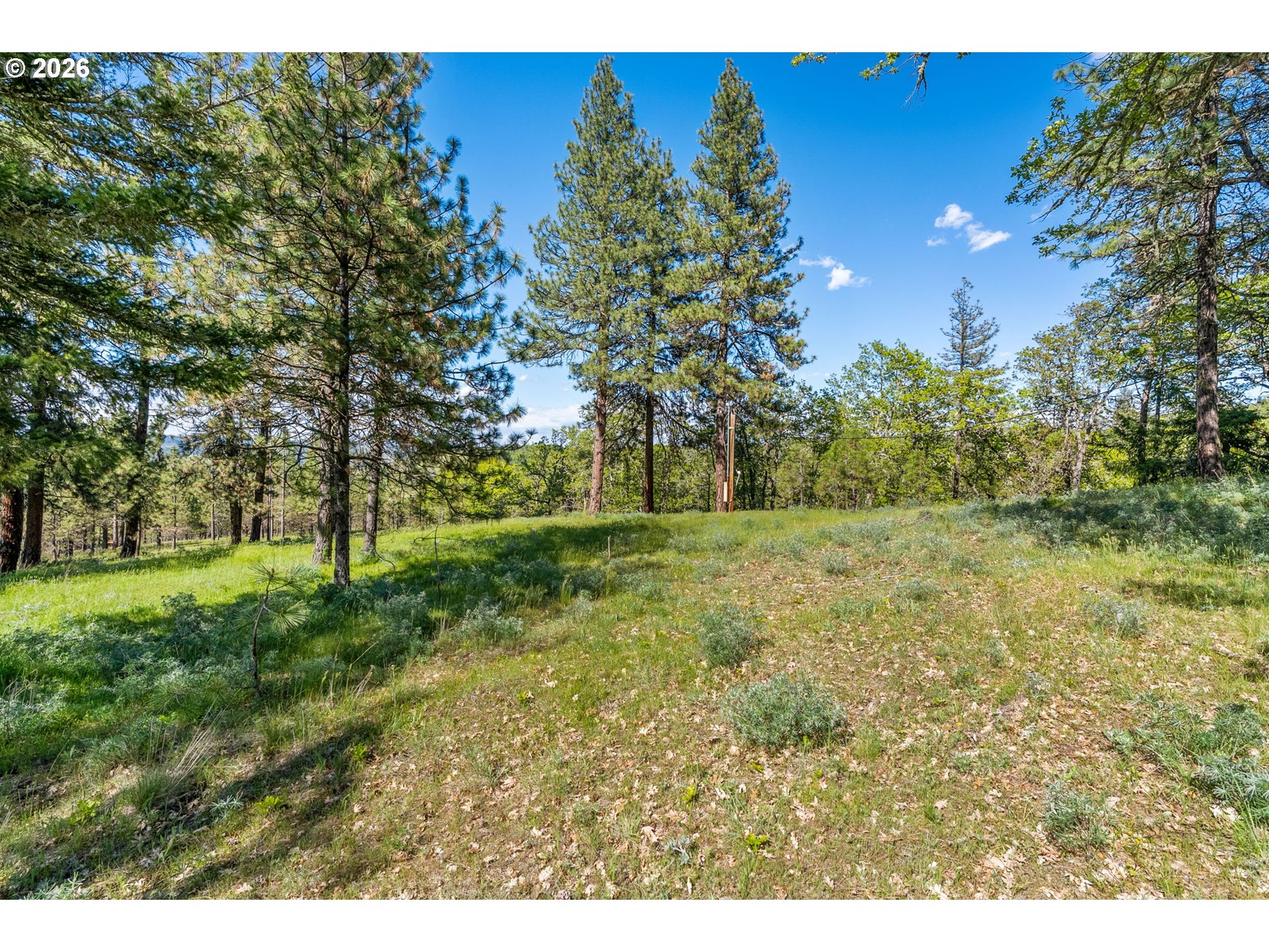 370 Rowland Road Lyle, WA 98635 - Photo 18 of 26