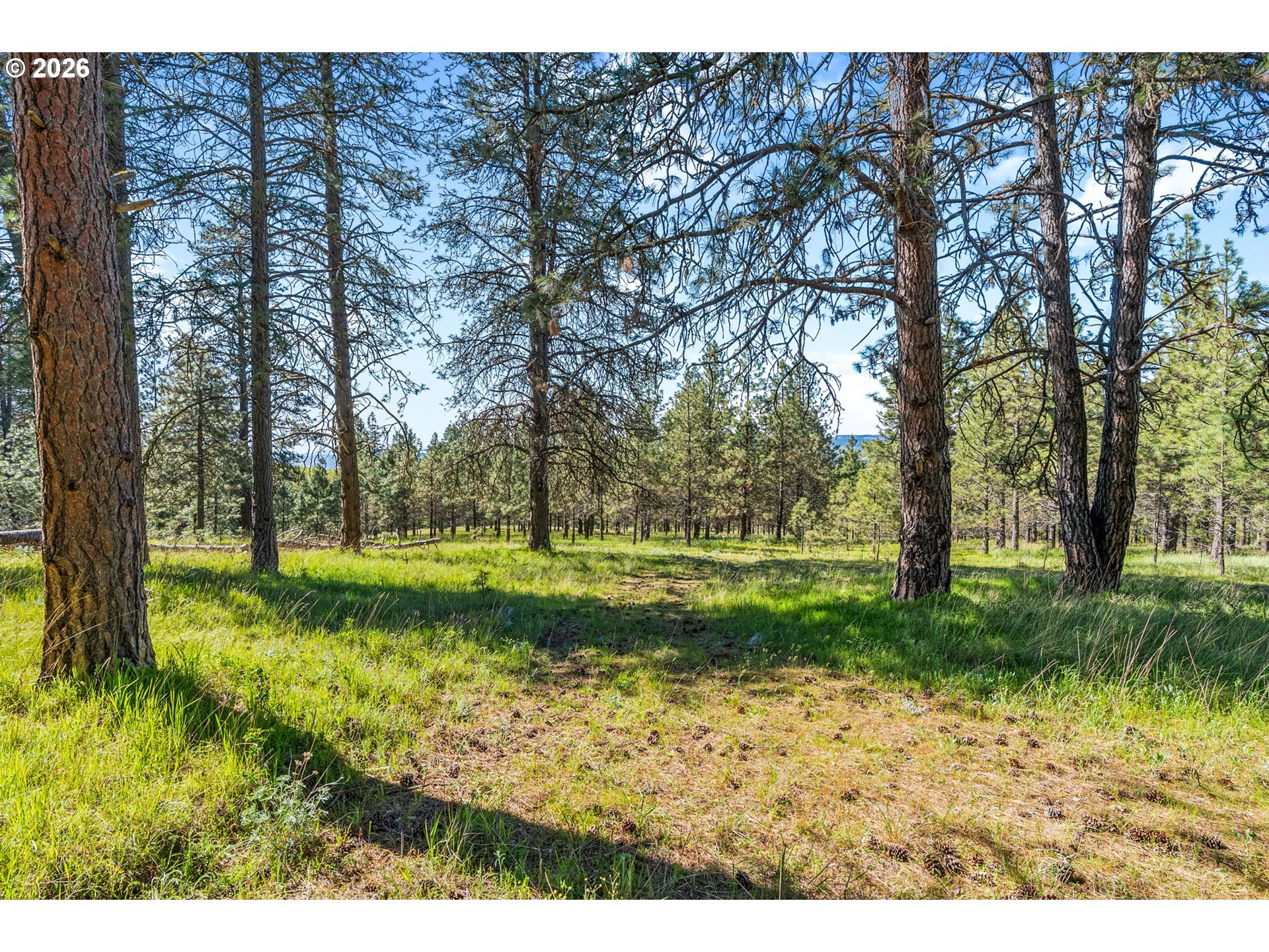 370 Rowland Road Lyle, WA 98635 - Photo 20 of 26