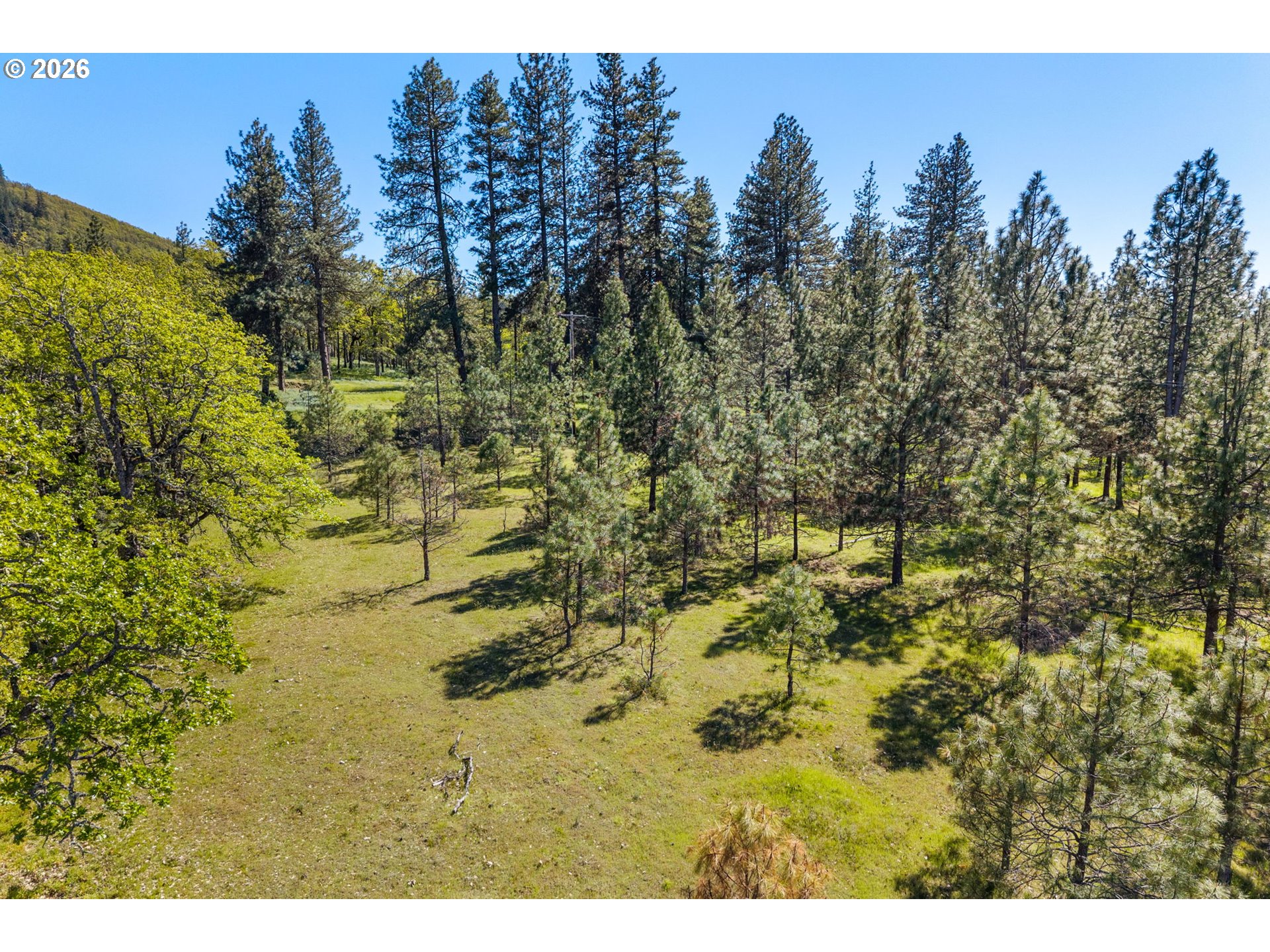 370 Rowland Road Lyle, WA 98635 - Photo 10 of 26