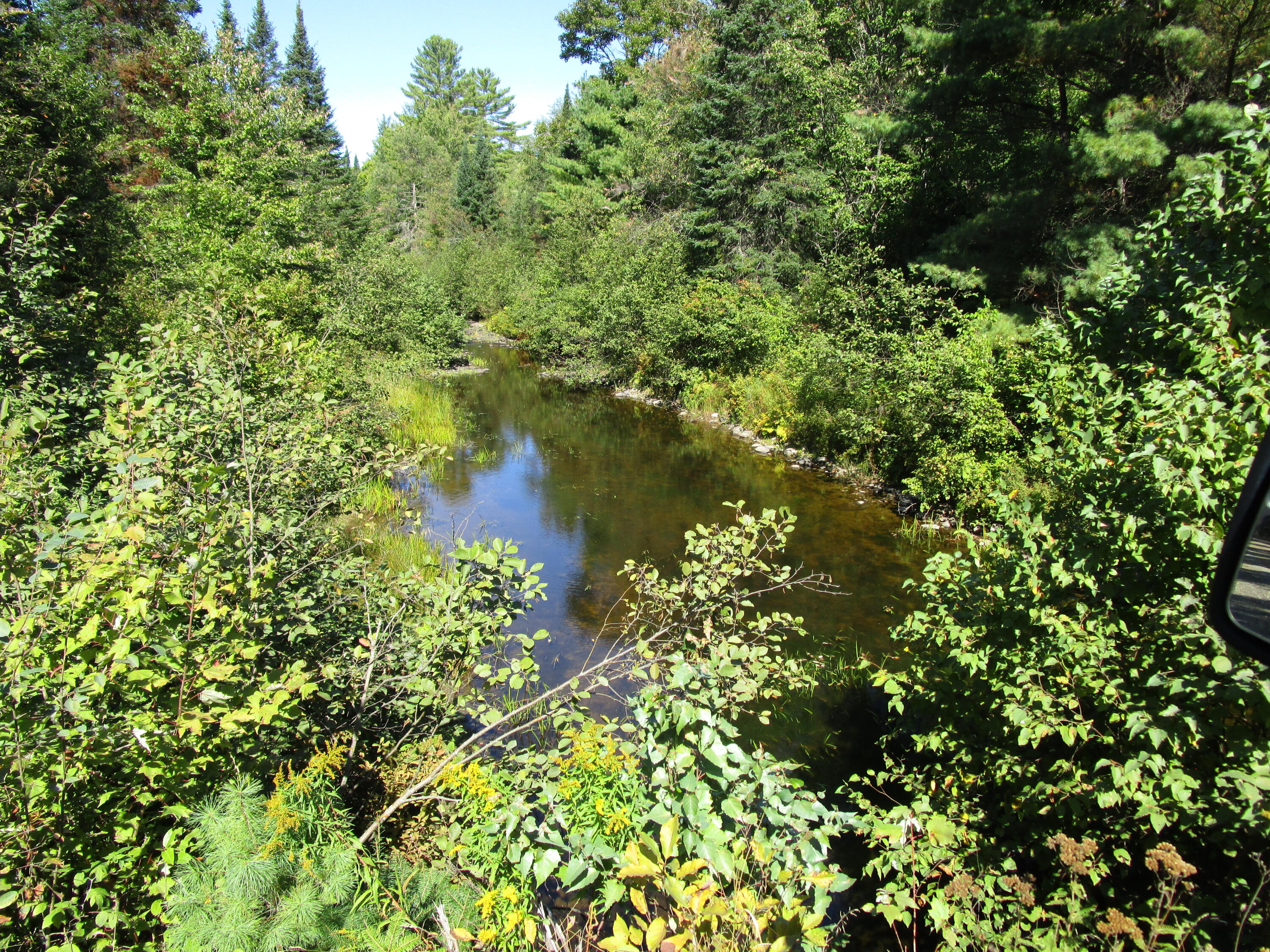 Lot 8 North A N North Howland Road Howland, ME 04448 - Photo 2 of 11