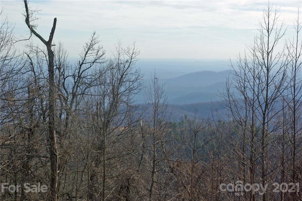 940 Wolf Pen Road, Unit 940 Old Fort, NC 28762 - Photo 2 of 18 Gallery Image 2